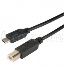USB 2.0 Type C to B Straight Connection 1 Meter