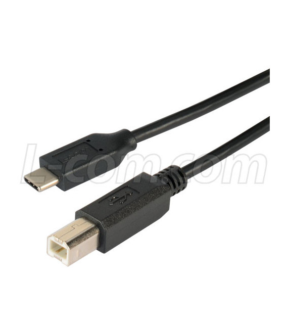 USB 2.0 Type C to B Straight Connection 0.3 Meter