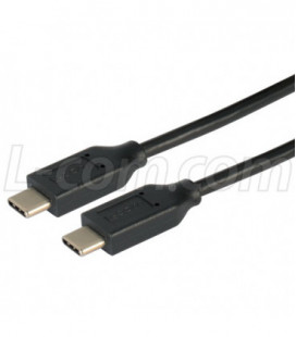 USB 2.0 Type C to C Straight Connection 0.3 Meter