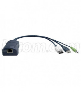 CATx DisplayPort CAM w/USB and Audio