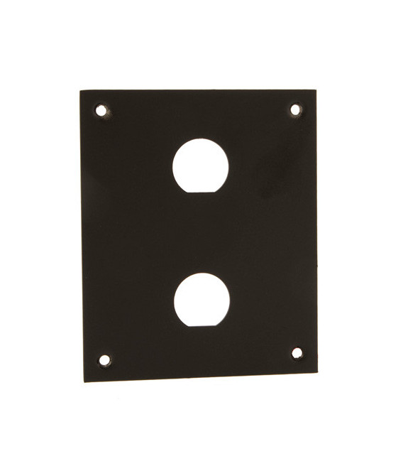 Universal Steel Sub-Panel with Two 0.630" D-Holes, Black