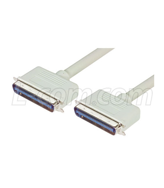 SCSI-1 Molded Cable, CN50 Male / Male, 2.0m