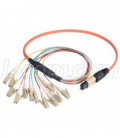 MPO Male to 12x LC Fan-out, 12 Fiber Ribbon, OM2 50/125 Multimode, OFNR Jacket, Orange, 10.0m