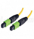 MPO w/o pins to MPO w/o pins, 12 Fiber Ribbon, 9/125 Singlemode, OFNR Jacket, Yellow, 5.0m