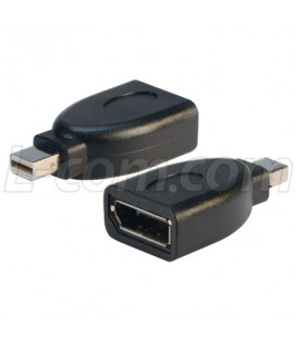 DisplayPort Female to Mini DisplayPort Male Adapter