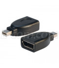 DisplayPort Female to Mini DisplayPort Male Adapter