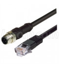 M12 4 Position D-Coded Male/RJ45 Male Cable Assembly, 2.0m