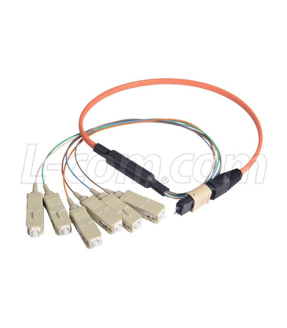 MPO Male to 6x SC Fan-out, 6 Fiber Ribbon, OM1 62.5/125 Multimode, OFNR Jacket, Orange, 10.0m