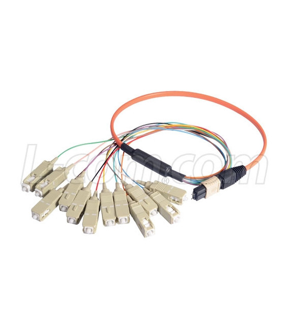 MPO Male to 12x SC Fan-out, 12 Fiber Ribbon, OM1 62.5/125 Multimode, OFNR Jacket, Orange, 5.0m