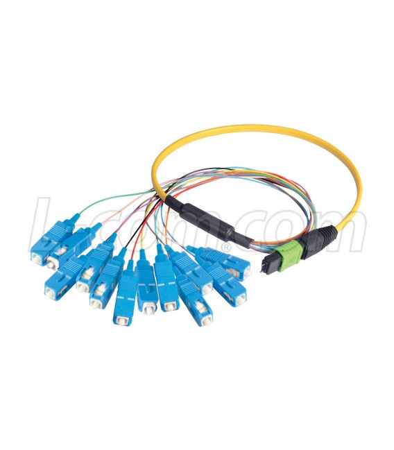 MPO Male to 12x SC Fan-out, 12 Fiber Ribbon, 9/125 Singlemode, OFNR Jacket, Yellow, 1.0m