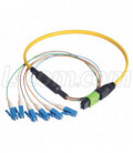 MPO Male to 6x LC Fan-out, 6 Fiber Ribbon, 9/125 Singlemode, OFNR Jacket, Yellow, 1.0m