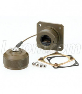 Cat5e, Ruggedized Flange Mount, Zinc-Nickel with Mounting Hardware and Dust Cap