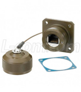 Cat6, Ruggedized Flange Mount, Zinc-Nickel finish with Grounding Shield and Dust Cap
