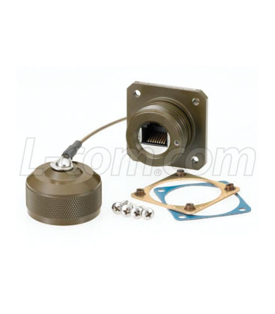 Cat6, Flange Mount, Zinc-Nickel finish with Grounding Shield, Mounting Hardware and Dust Cap