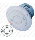 Hubbell HBL2716 NEMA L14-30 Flanged Female Outlet - White