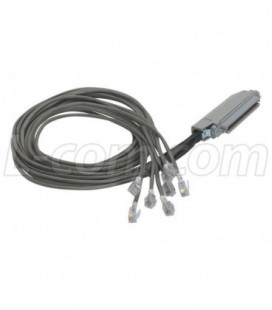 Cat. 3 Telco Breakout Cable, Female Telco / 8 (6x6), 3.0 ft
