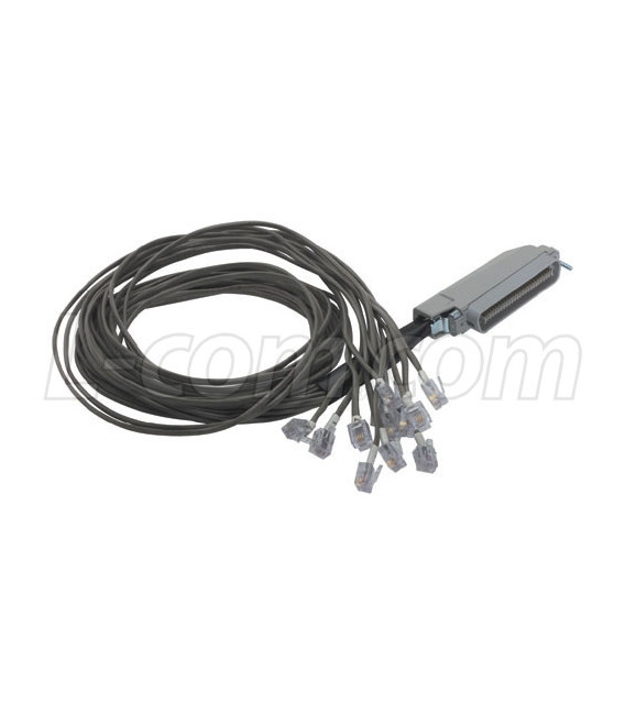 Cat. 3 Telco Breakout Cable, Male Telco / 12 (6x4), 3.0 ft