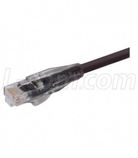 Premium Cat 6 Cable, RJ45 / RJ45, Black 1.0 ft