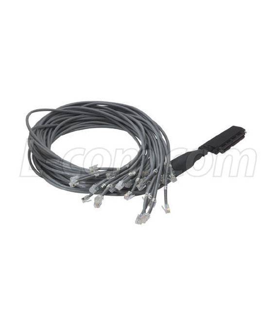 Cat. 3 Telco Breakout Cable, Female Telco / 25 (6x2), 3.0 ft