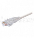 Premium Category 5E Patch Cable, RJ45 / RJ45, White 80.0 ft